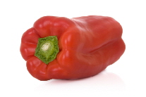 iStock_000005235427XSmall